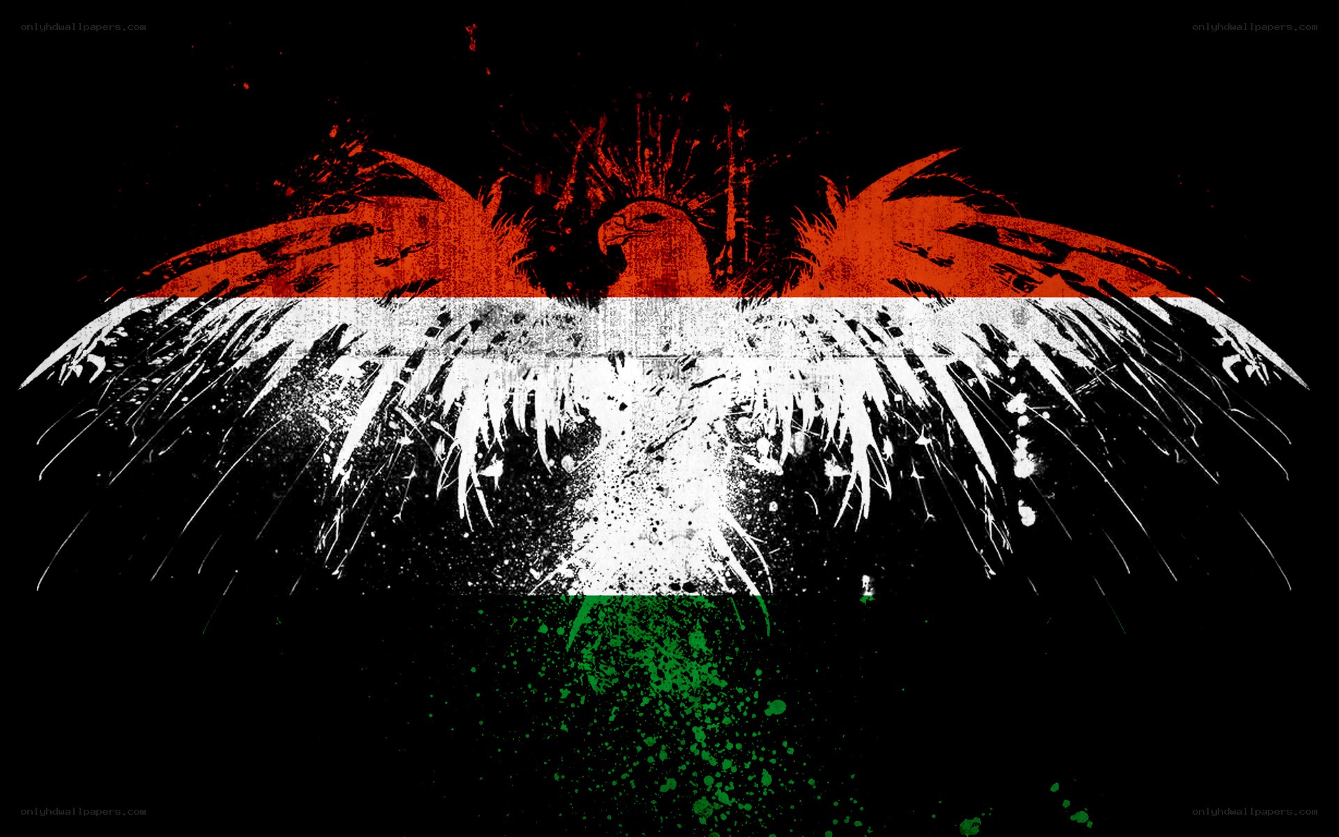 grunge flag of india