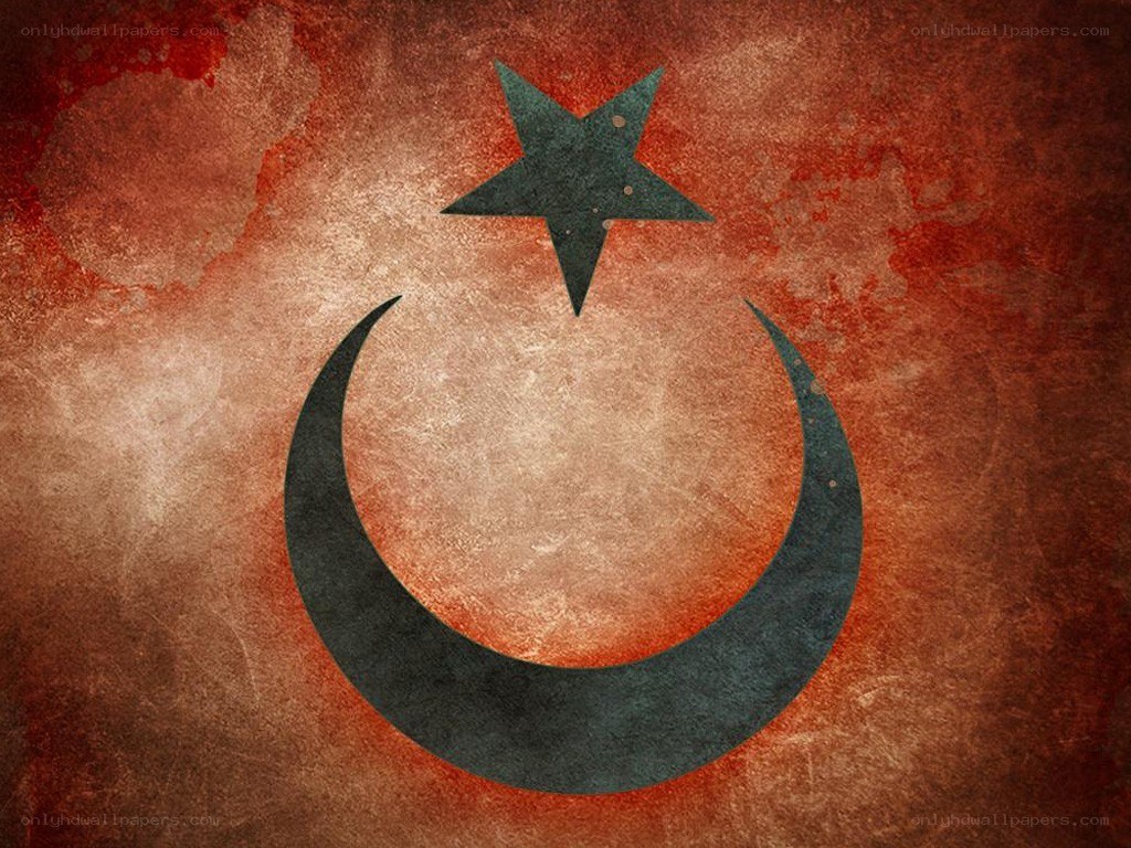 grunge flag with crescent and star