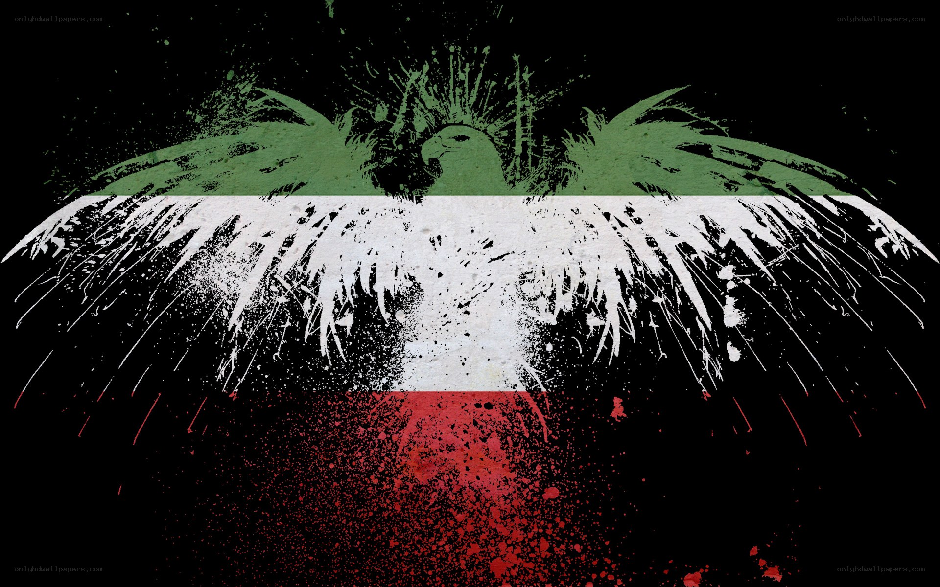 grunge Iranian flag with eagle