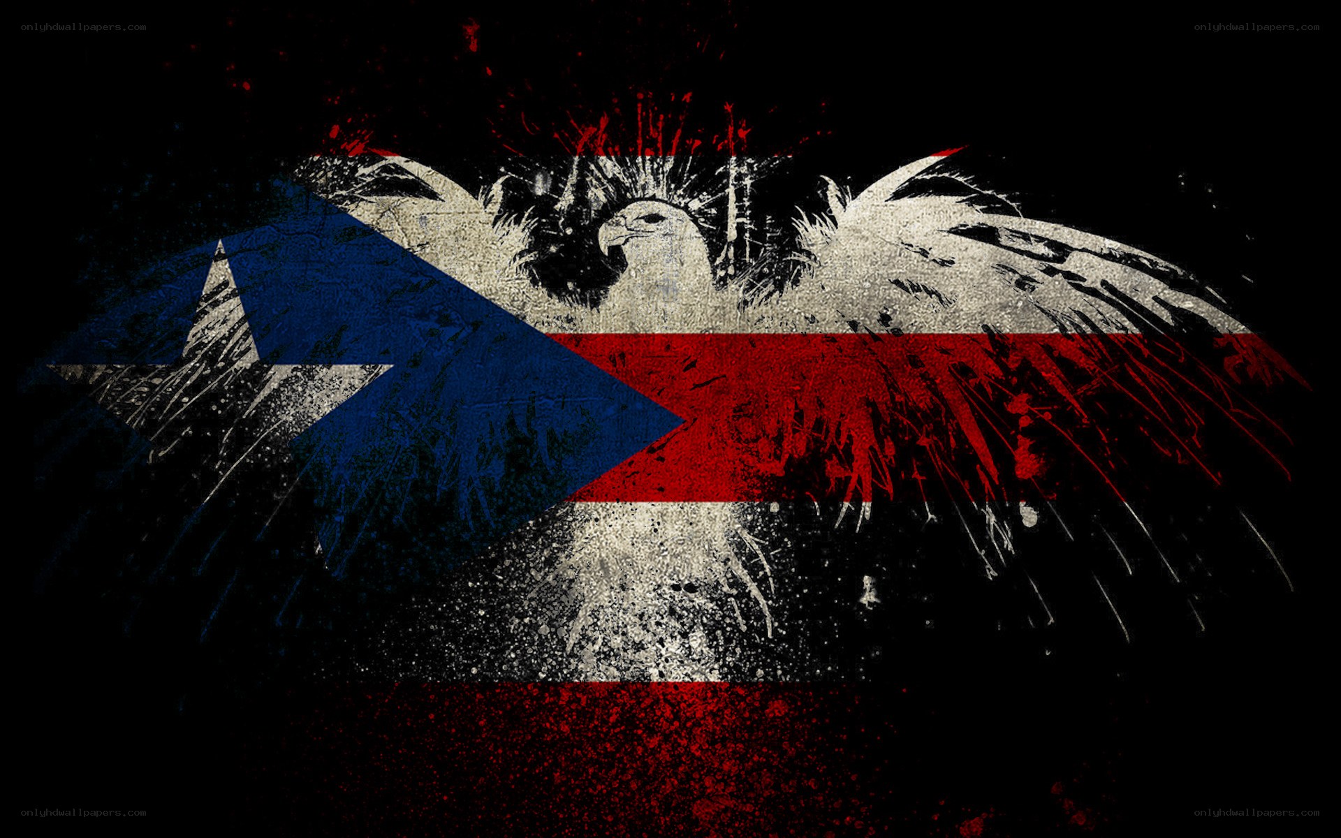 grunge puerto rican flag