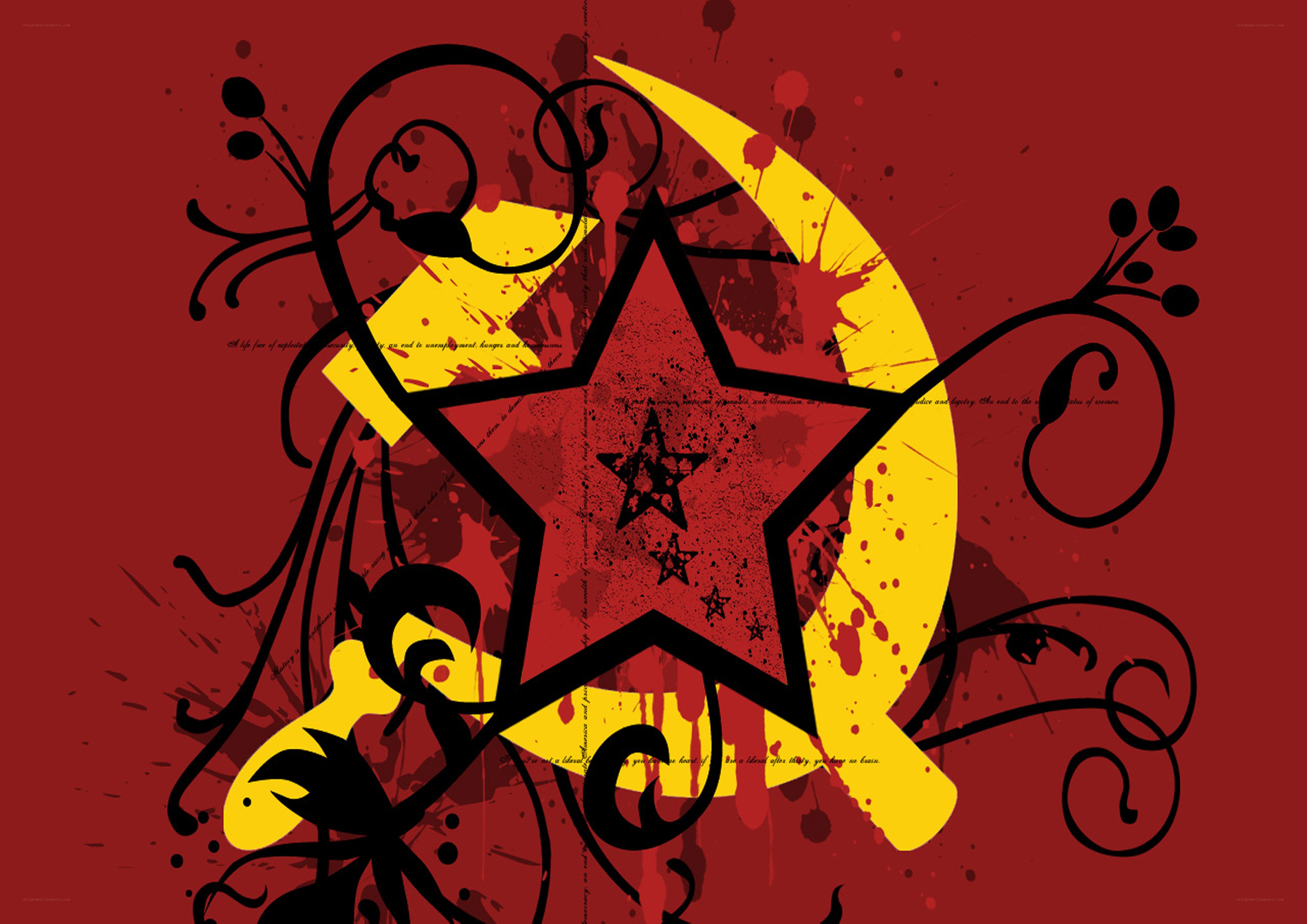 grunge star and crescent design