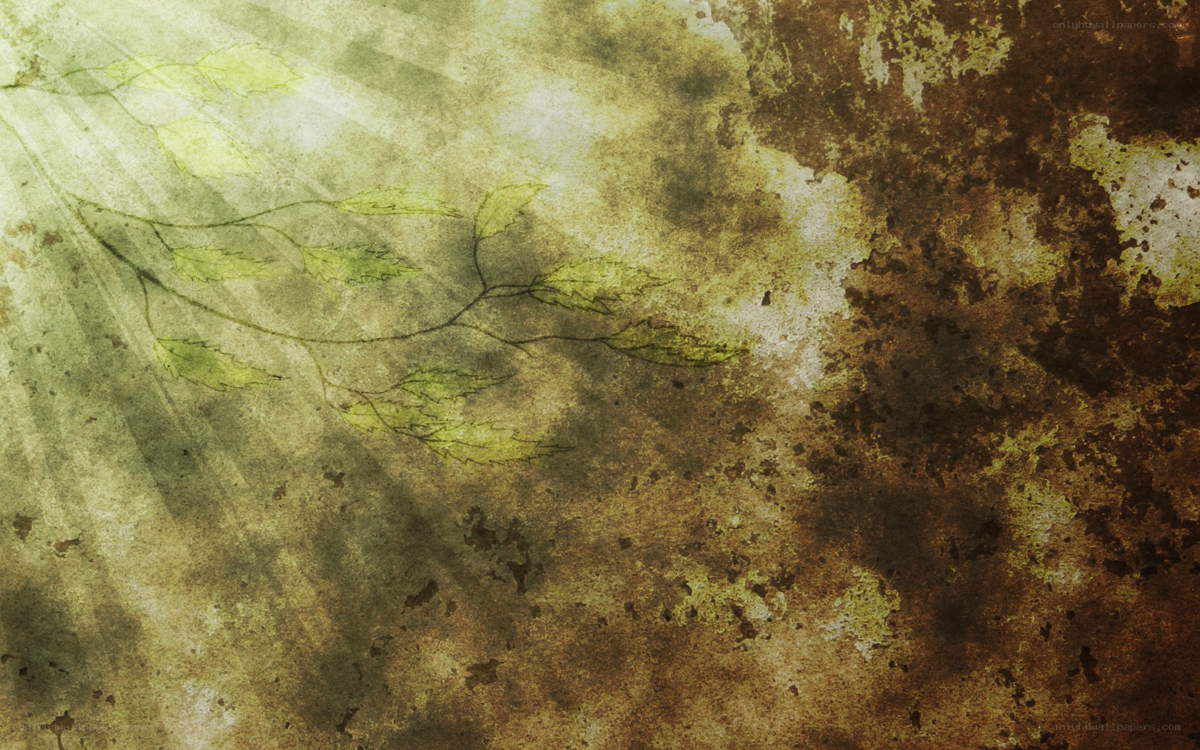 grungy leaf branch background