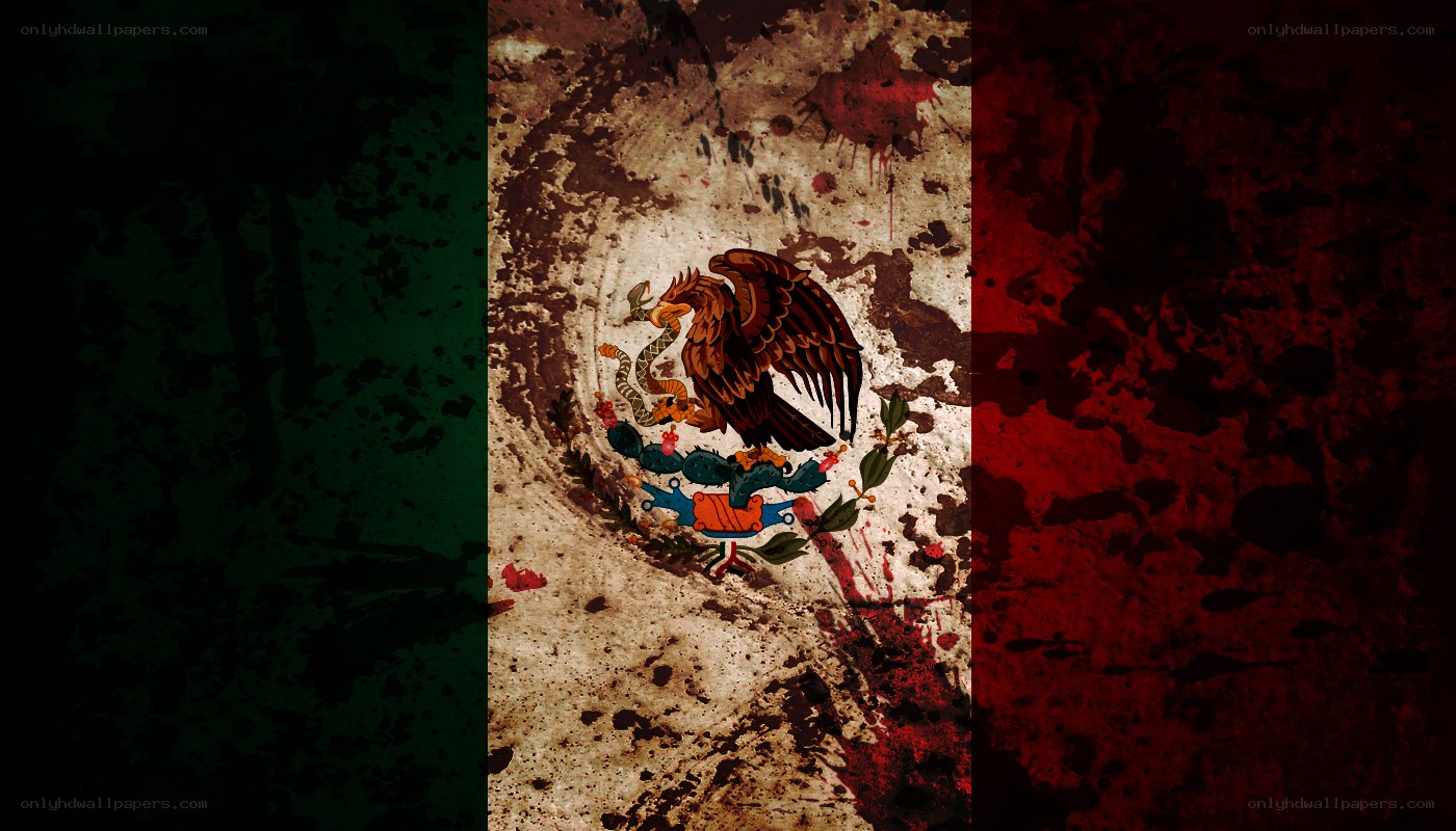 grungy mexican flag design