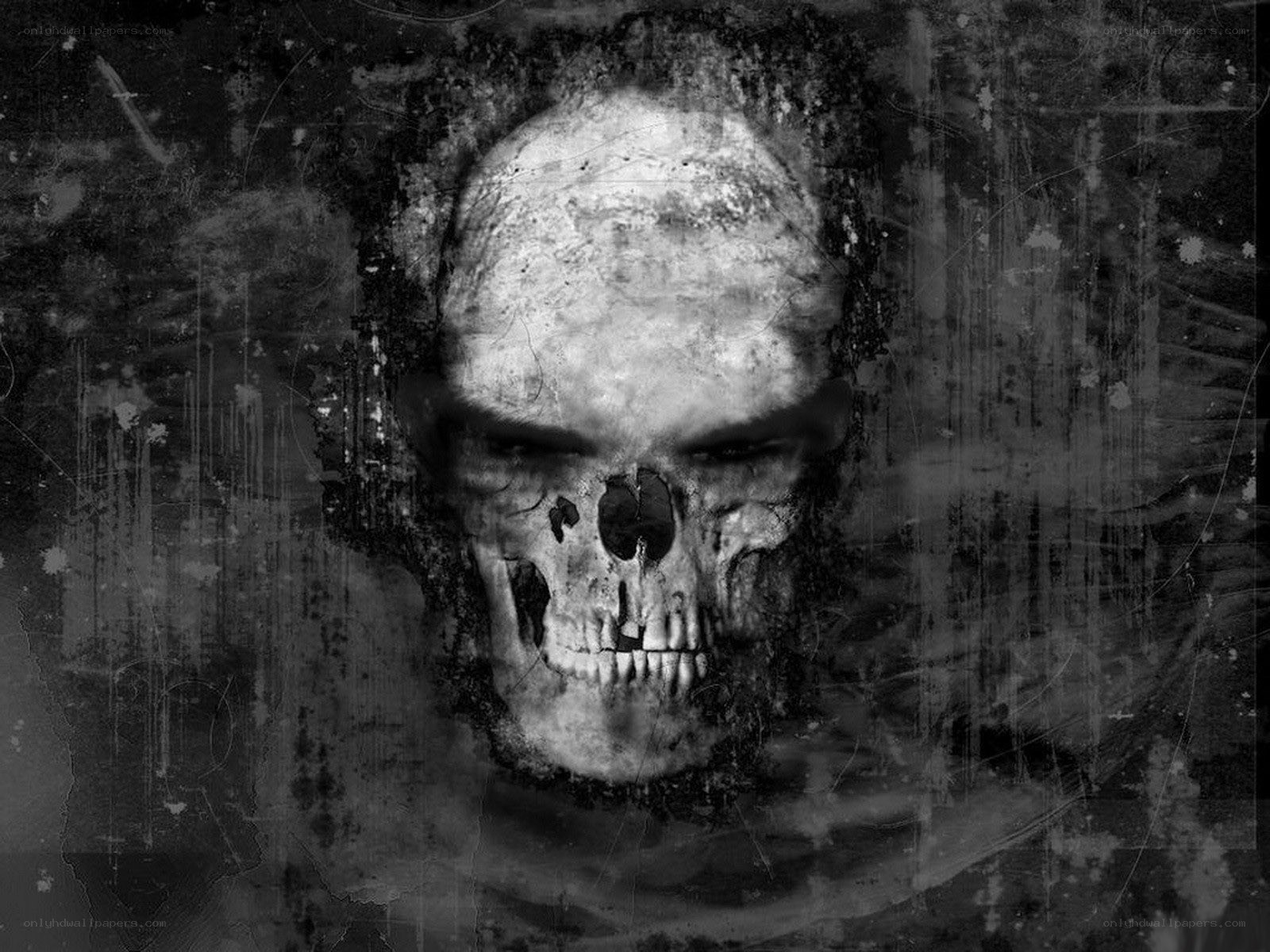 grungy skull illustration