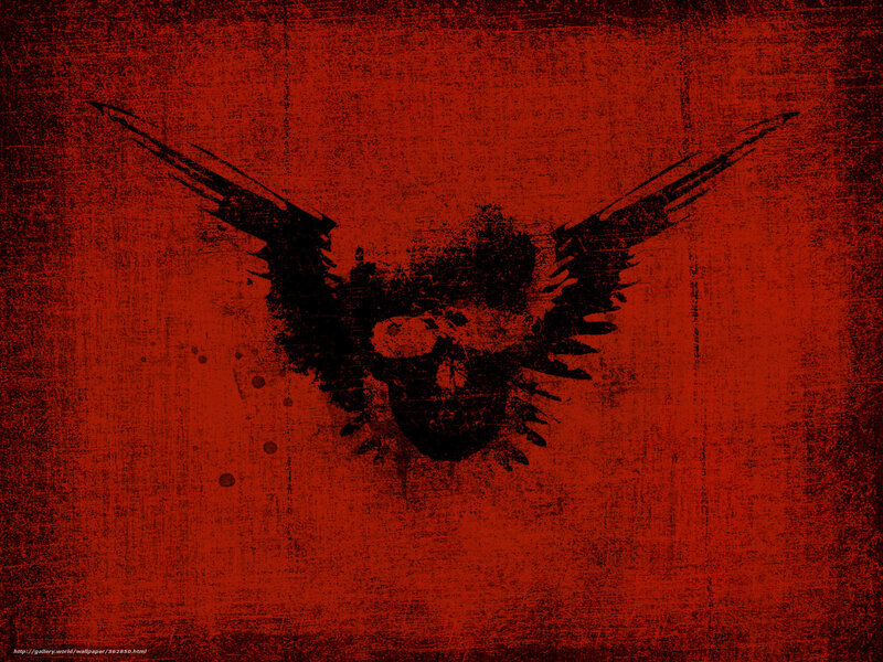 grungy skull with wings