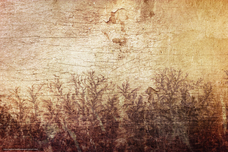 grungy wood texture with trees