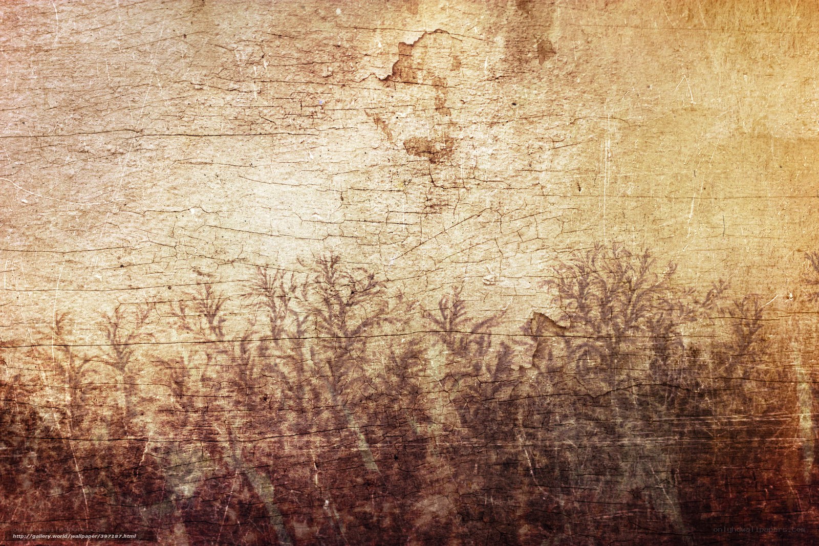 grungy wood texture with trees