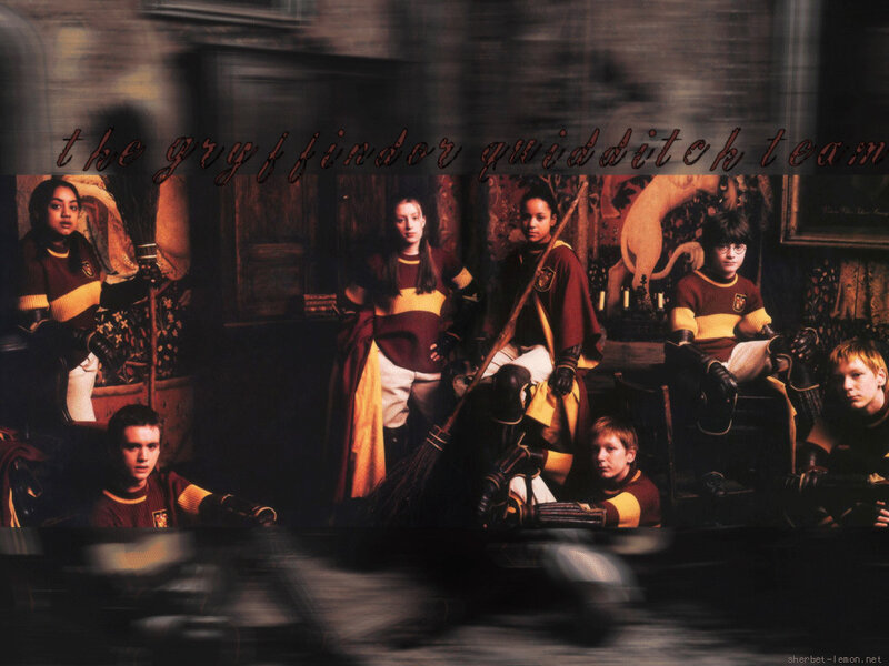 Gryffindor Quidditch team