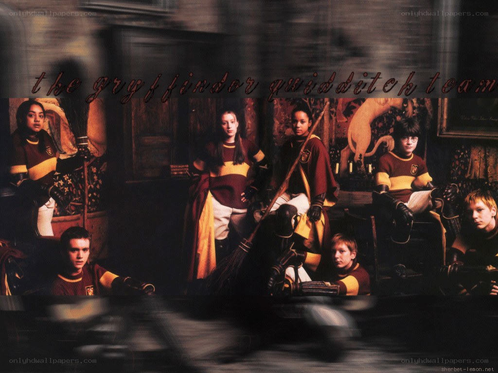 Gryffindor Quidditch team