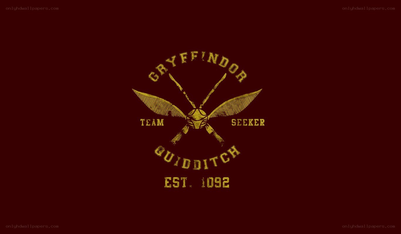 Gryffindor Quidditch Team Logo