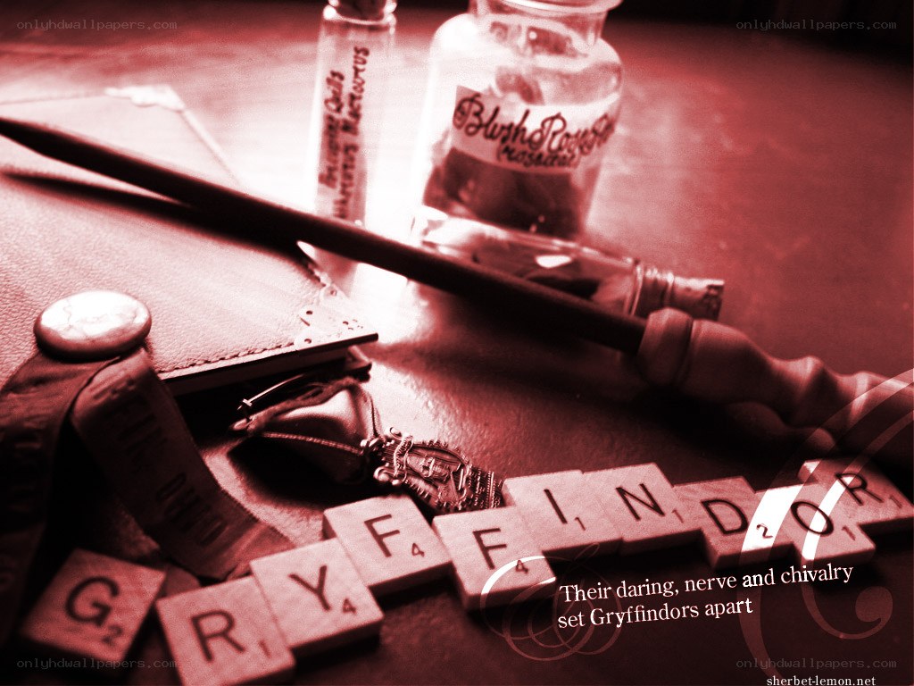 Gryffindor-themed still life