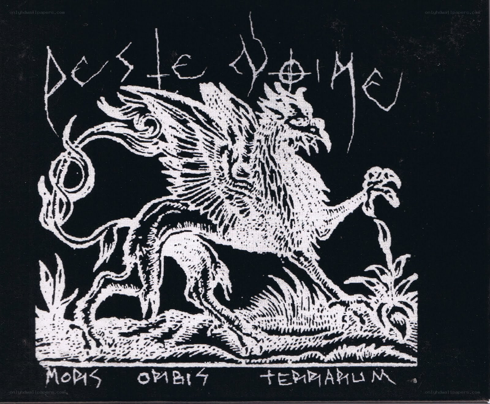 Gryphon illustration with Latin text