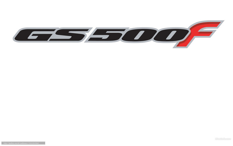 GS500F logo