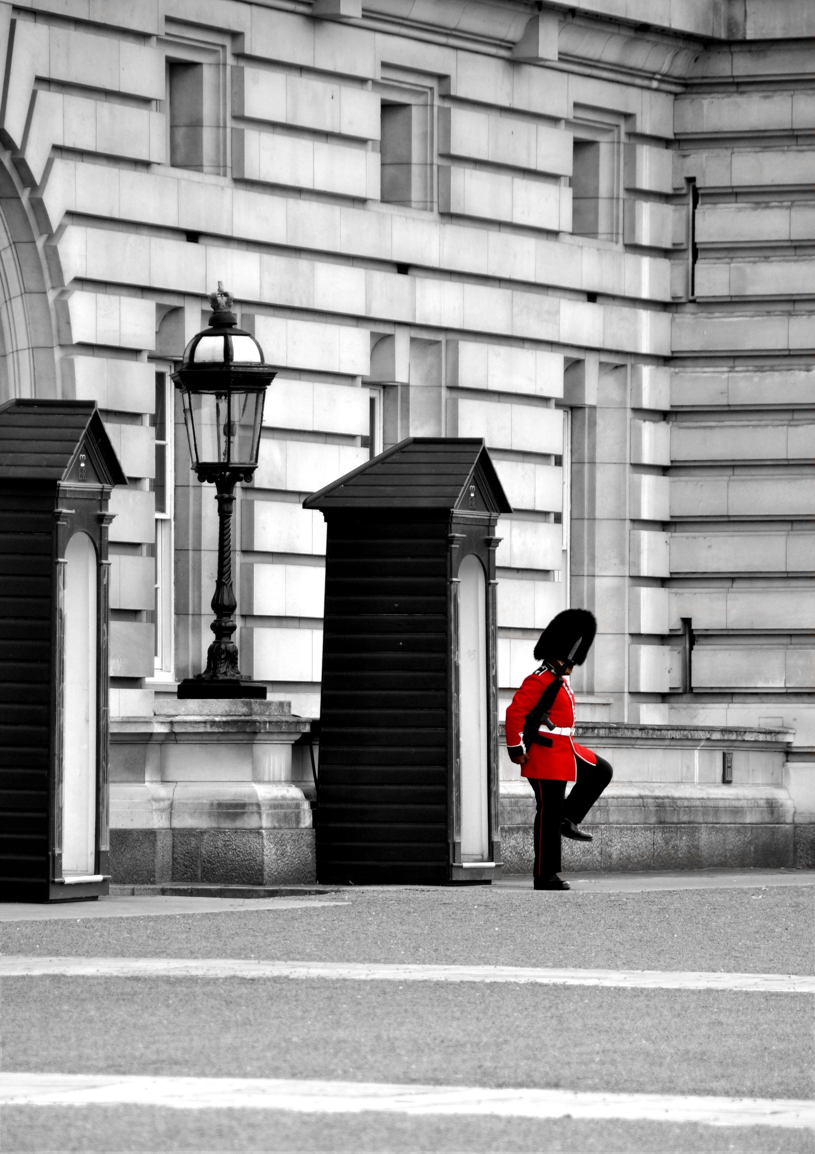 Guard at Buckingham Palace