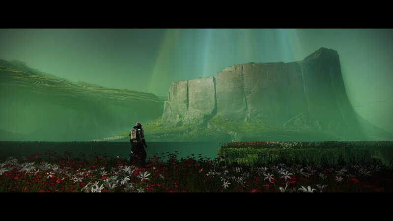 Guardian in Flower Field