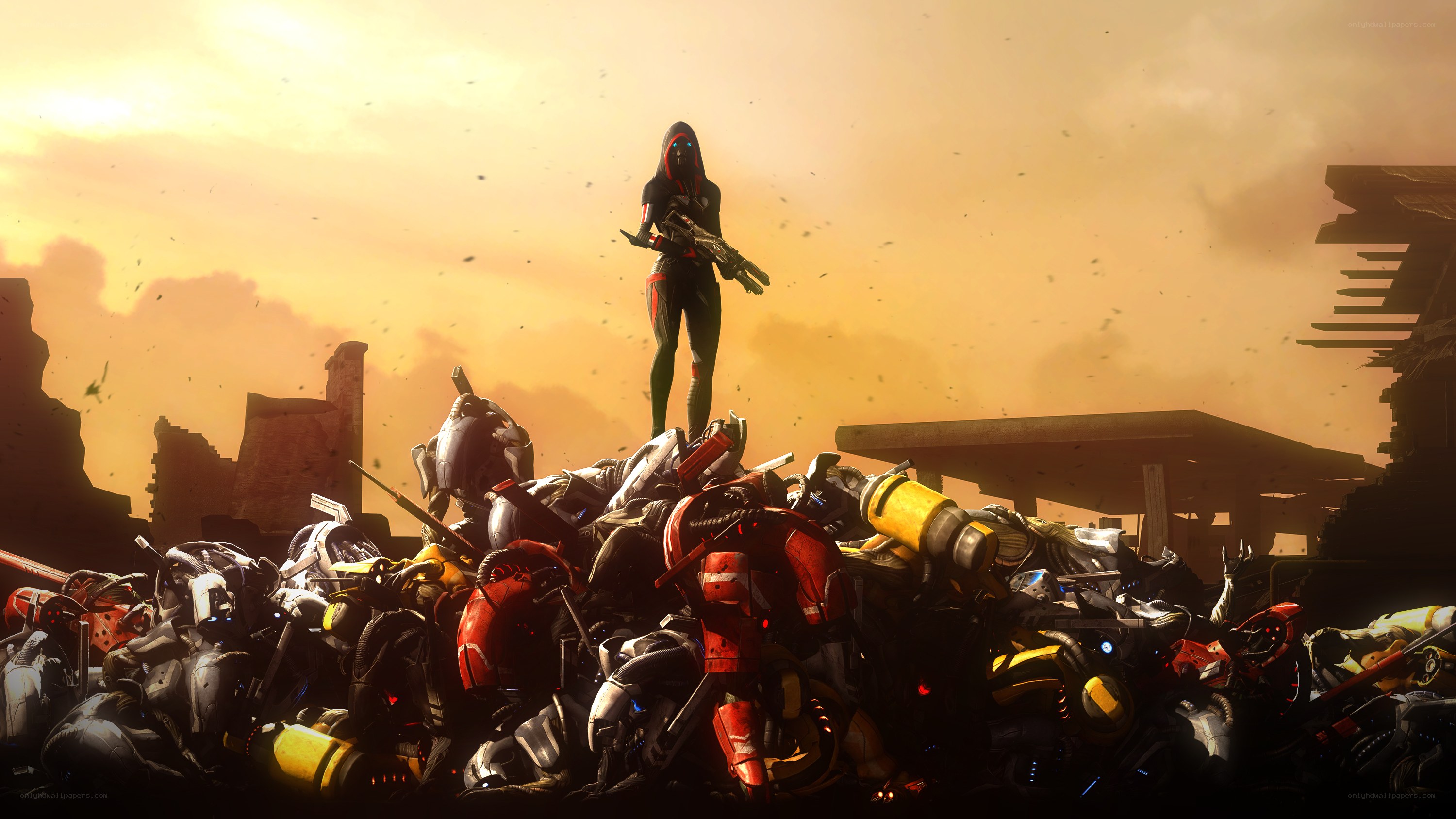 Guardian stands over wreckage