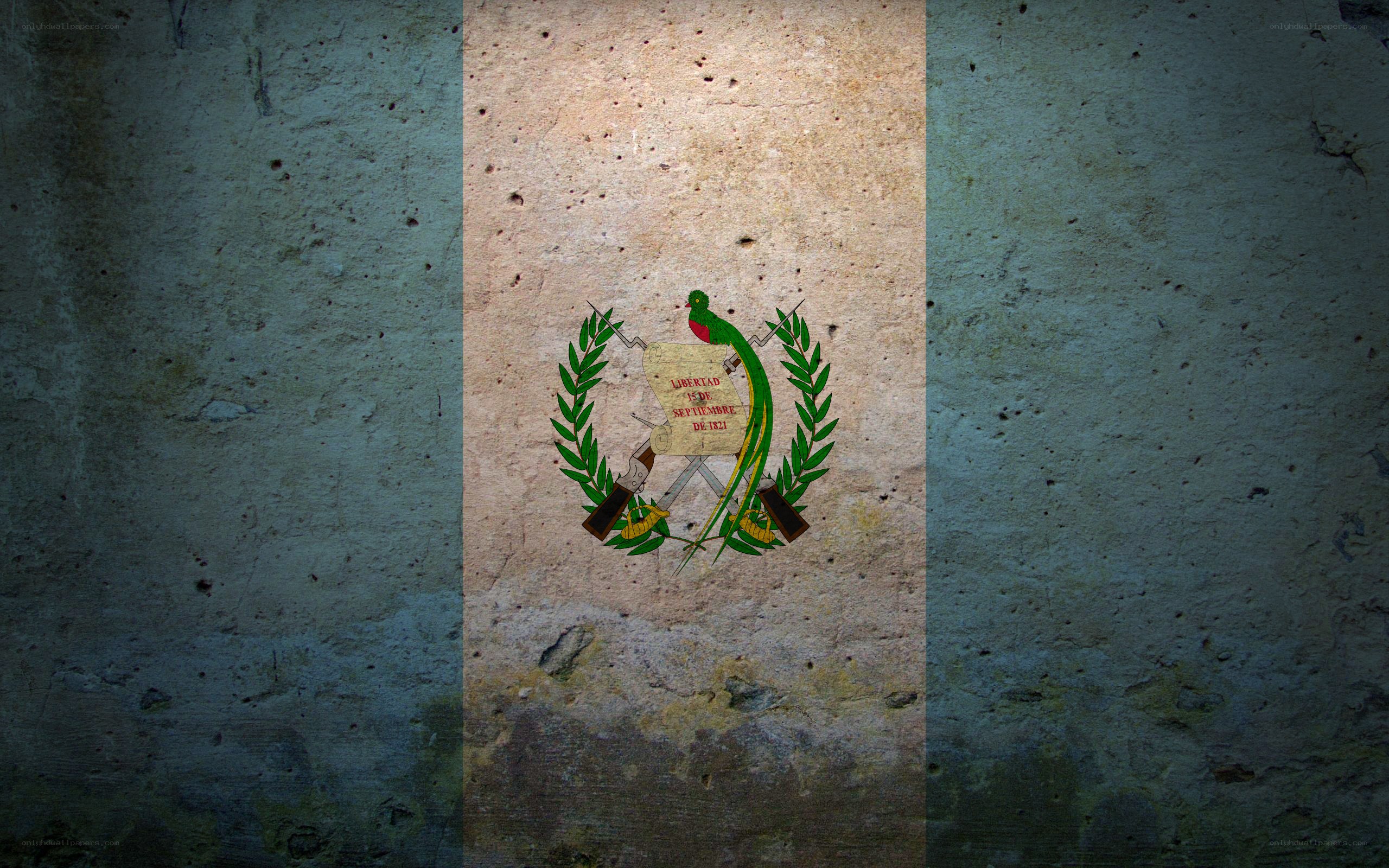 Guatemala flag on textured wall