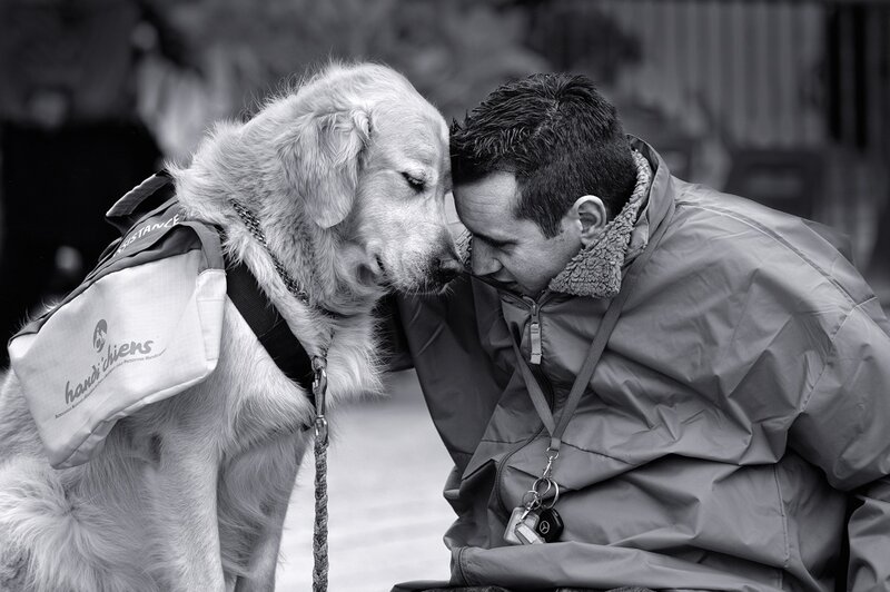 guide dog and handler moment