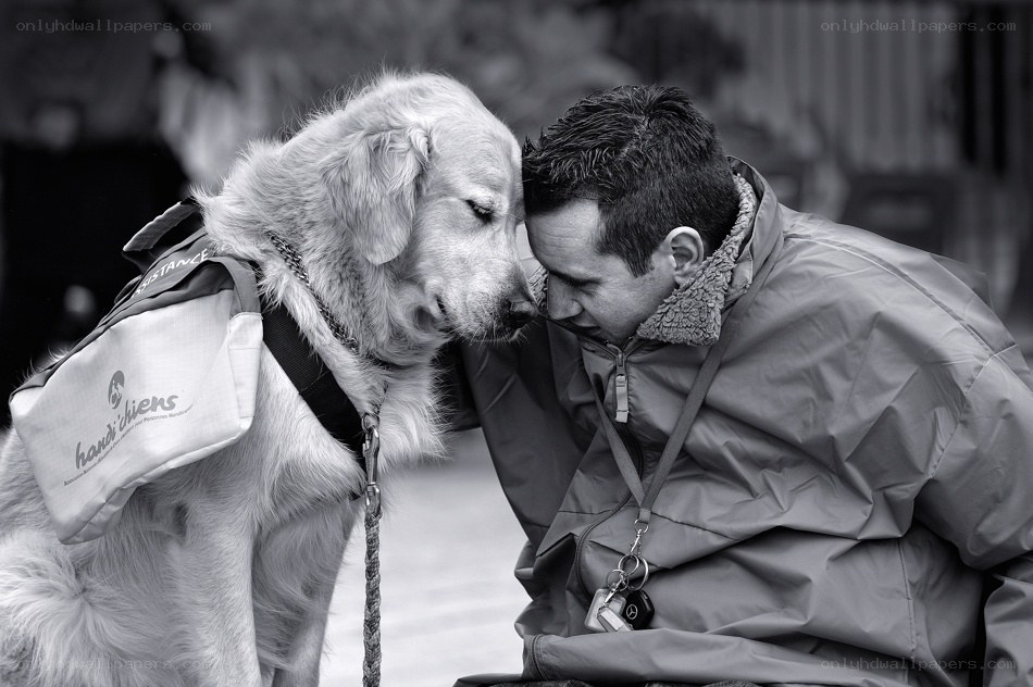 guide dog and handler moment