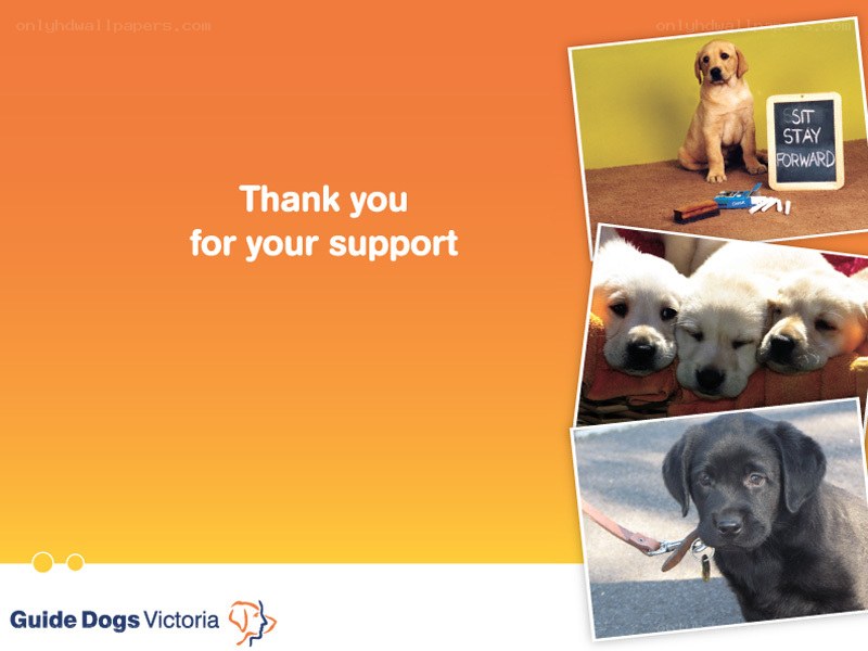 Guide Dogs Victoria thank you