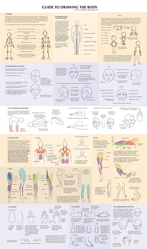 Guide to Drawing the Human Body