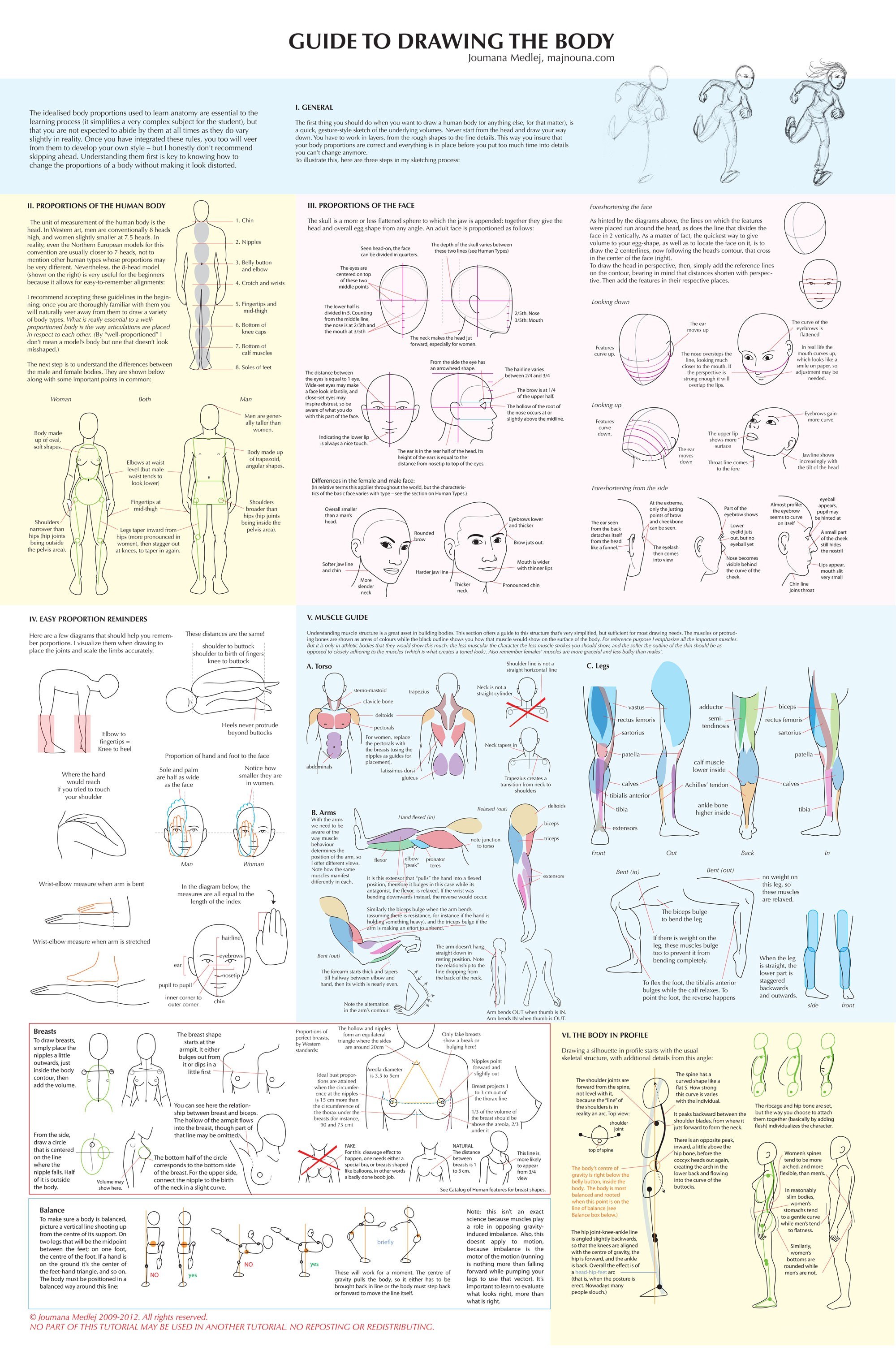Guide to drawing the human body