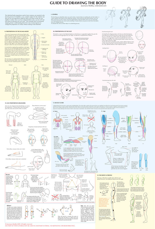 Guide to Drawing the Human Body