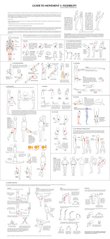 Guide to Movement Flexibility