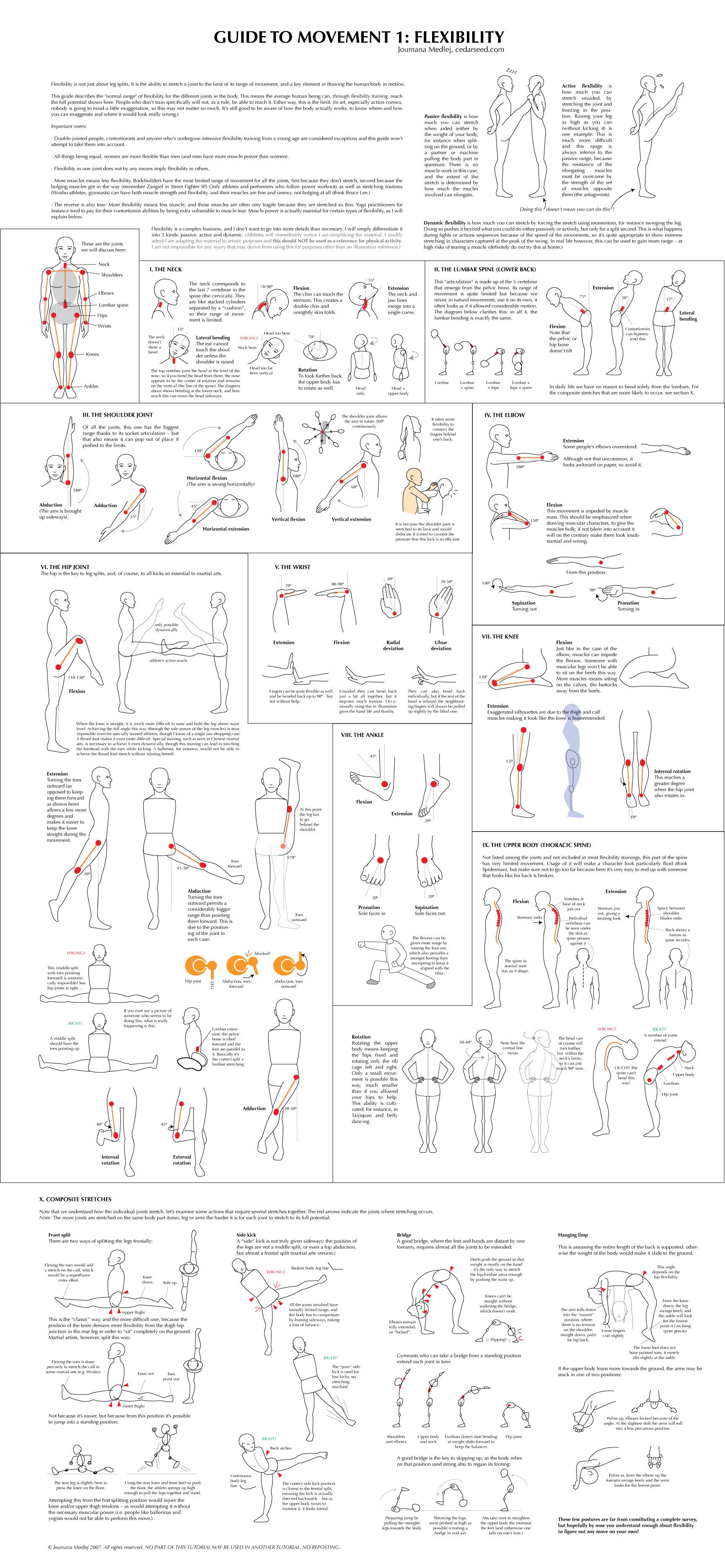 Guide to Movement Flexibility