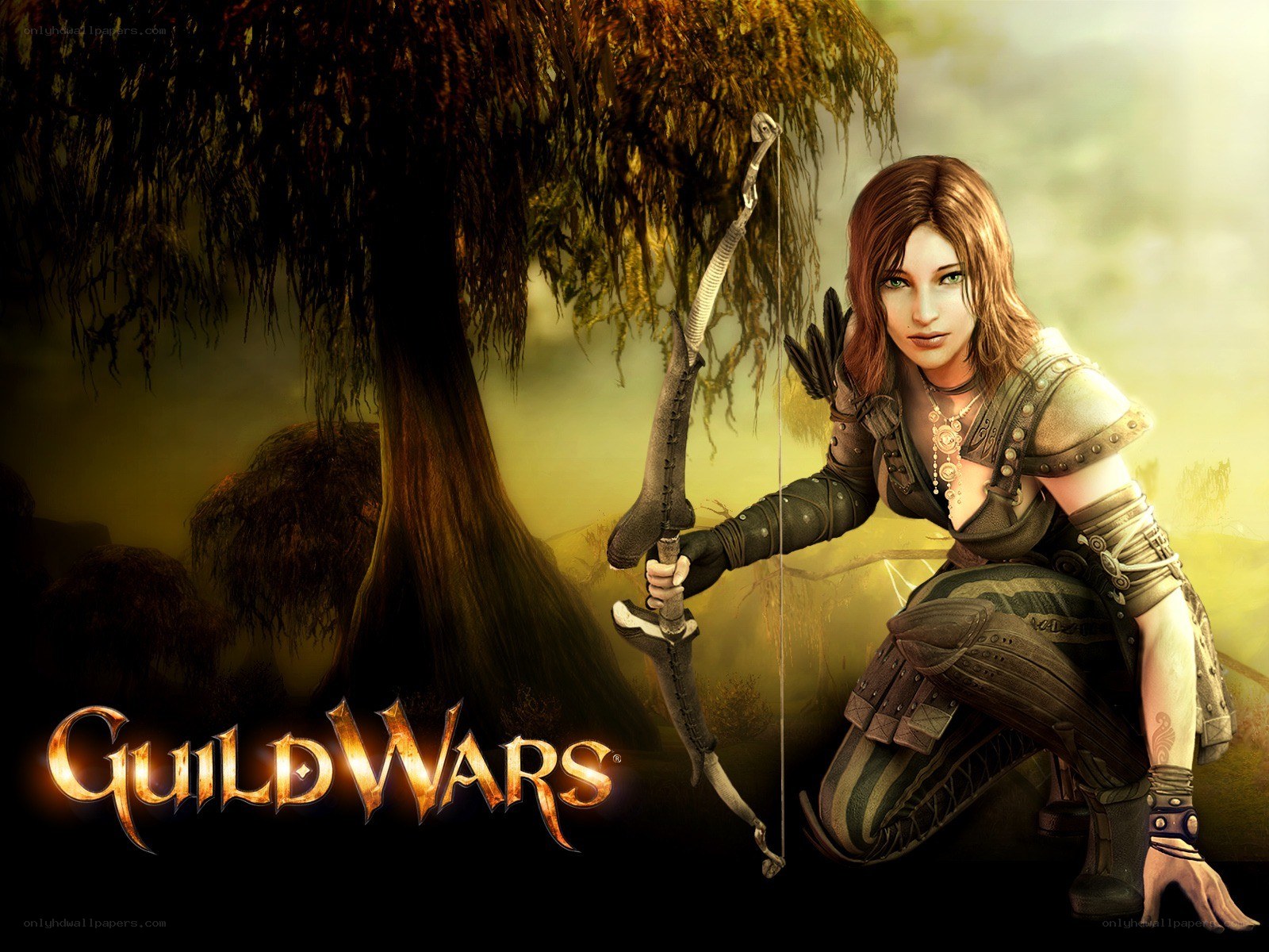Guild Wars archer character