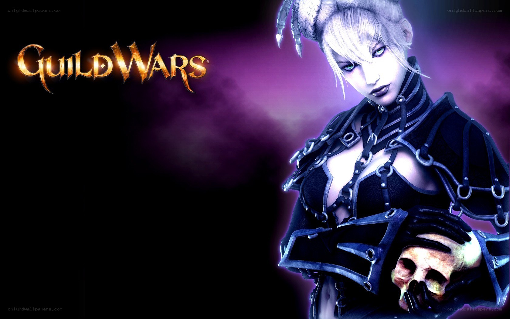 Guild Wars character art