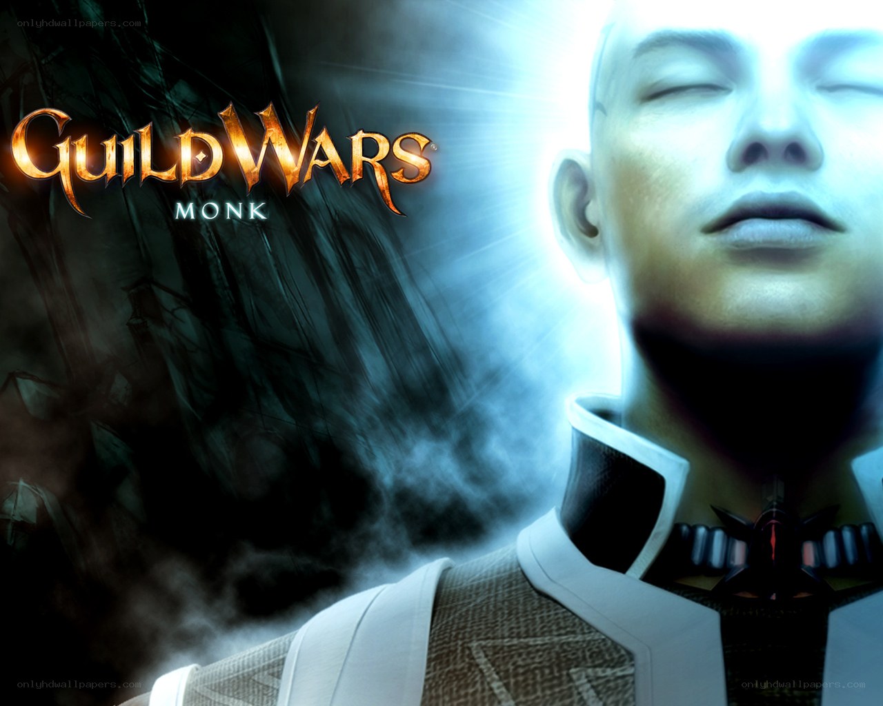 Guild Wars Monk character