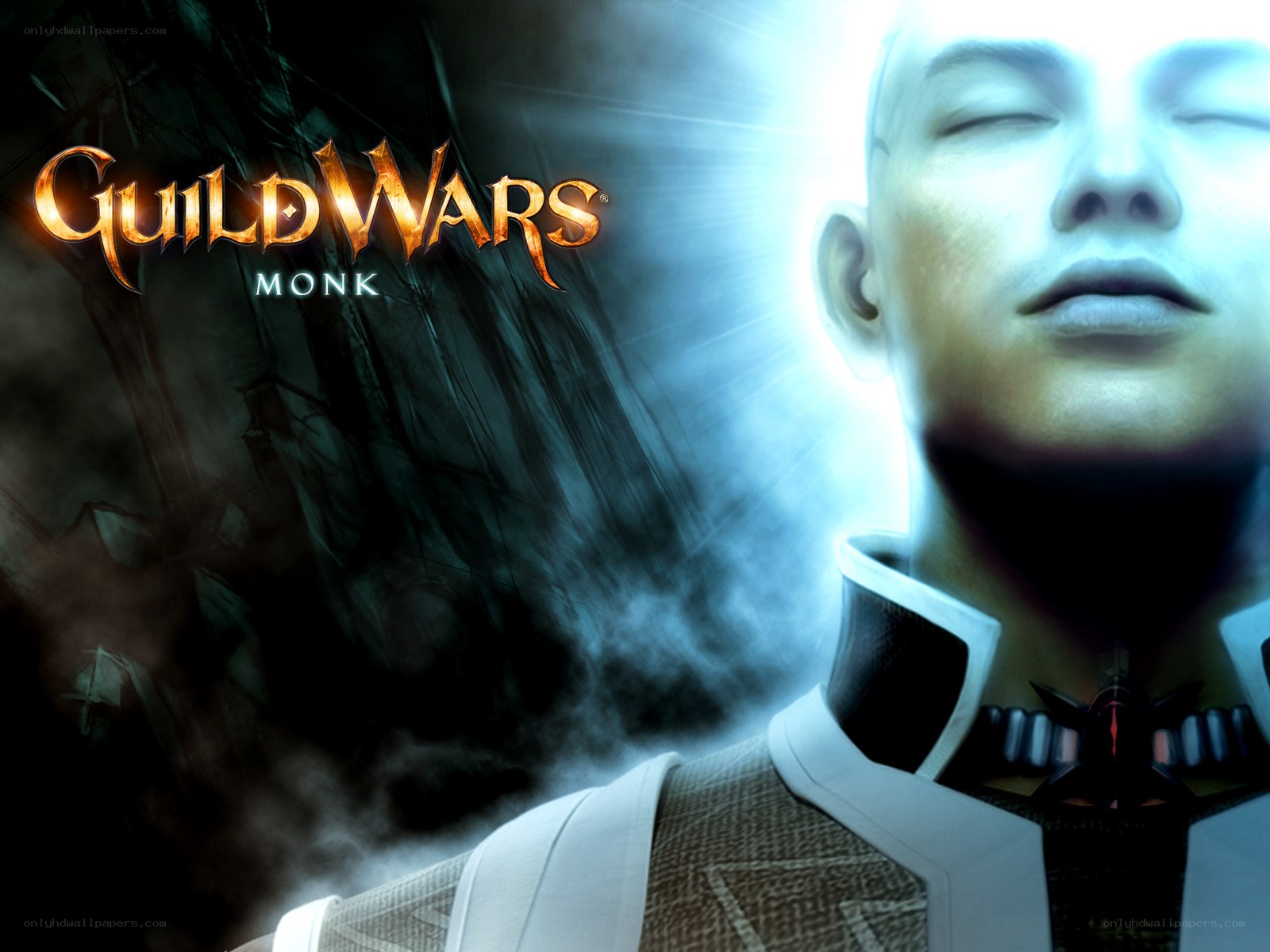 Guild Wars Monk promotional art