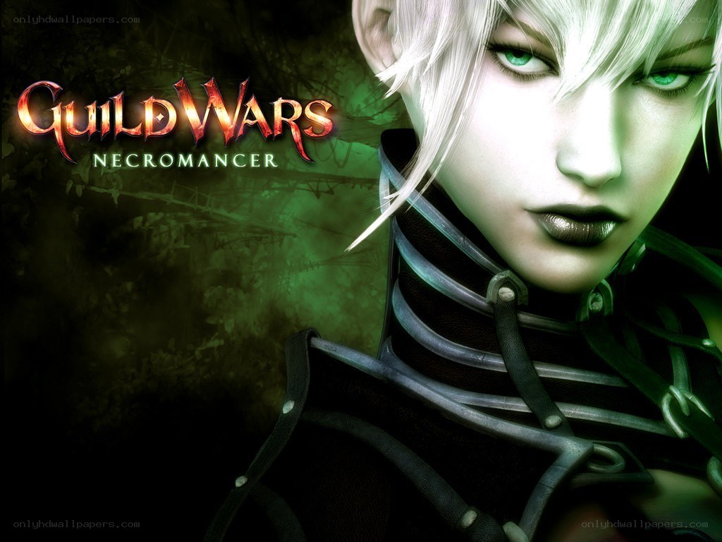 Guild Wars Necromancer