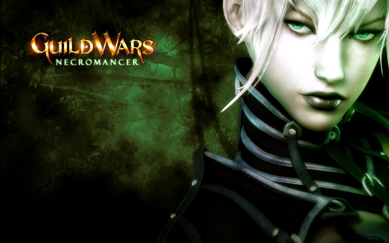 Guild Wars Necromancer artwork