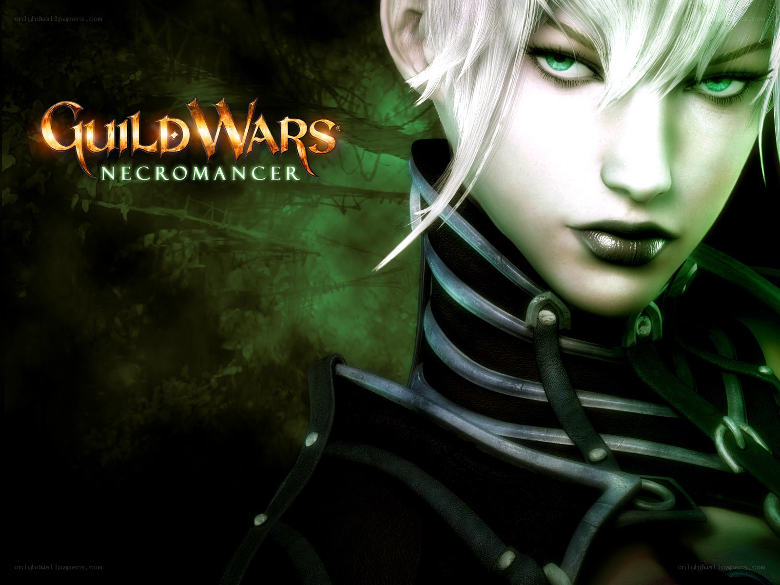 Guild Wars Necromancer artwork