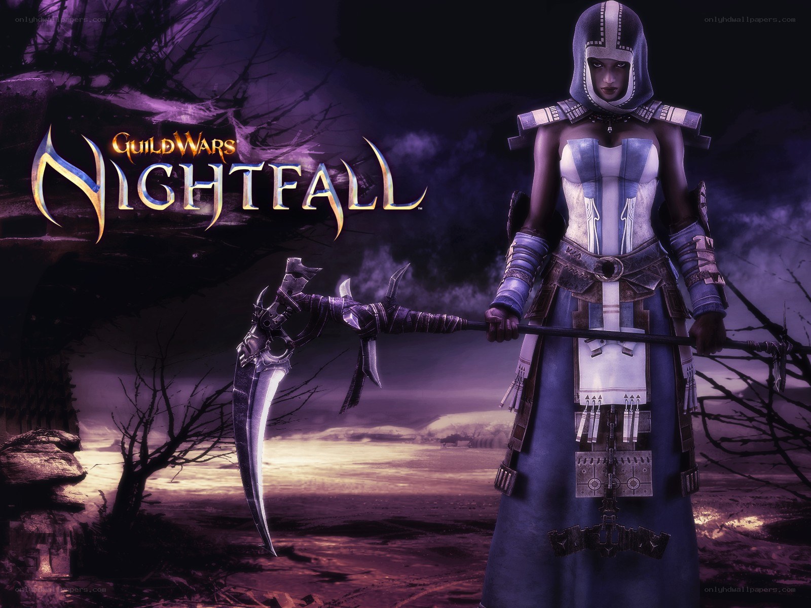 Guild Wars Nightfall character