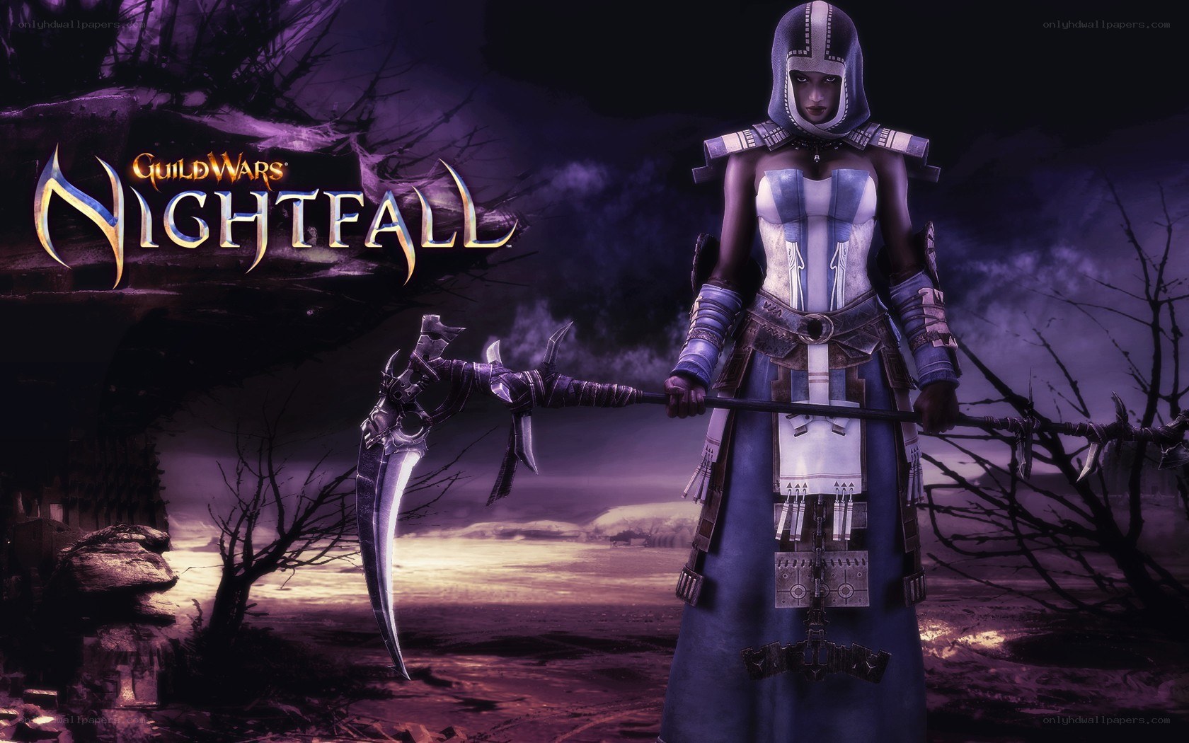 Guild Wars Nightfall character
