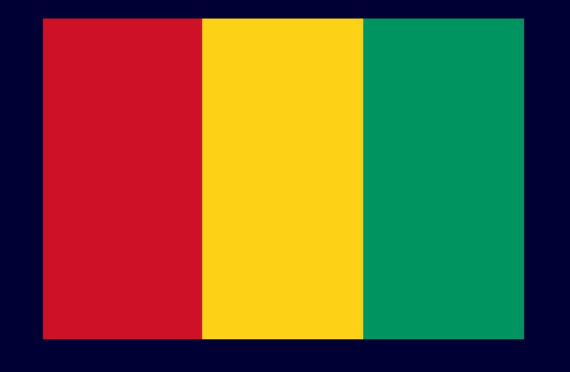 Guinea flag