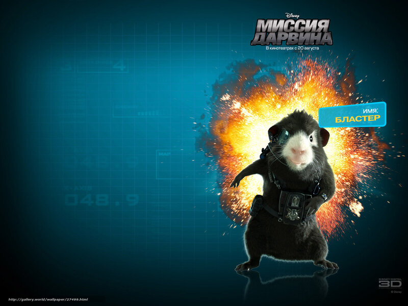 Guinea pig action character