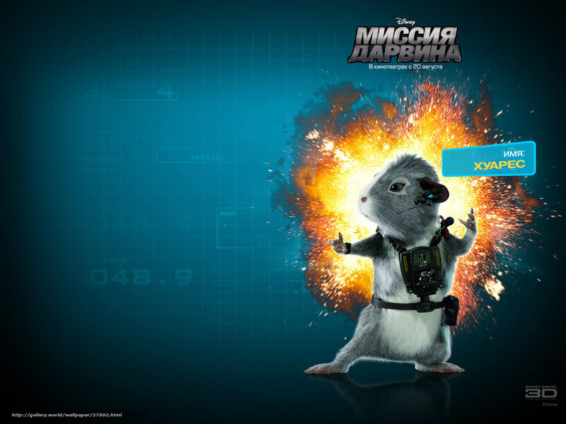 Guinea Pig Agent in Explosion