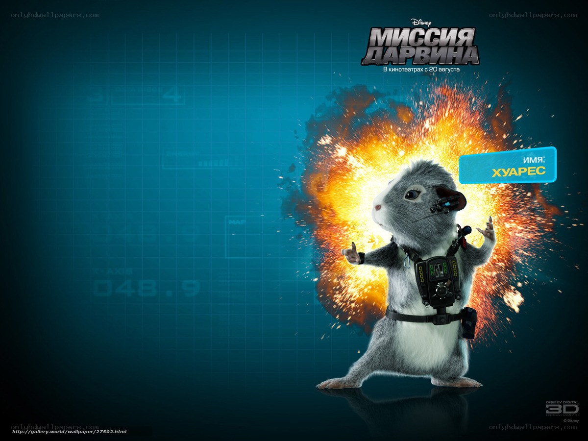 Guinea Pig Agent in Explosion