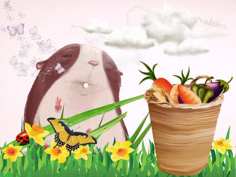 Guinea Pig in Grass — Green, Cheerful