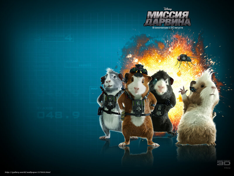 Guinea Pig Mission