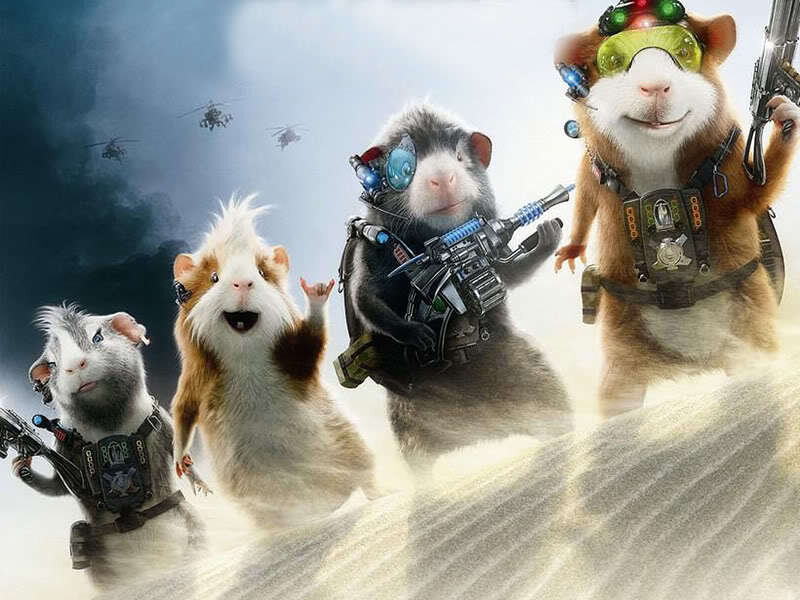 guinea pig soldiers in action