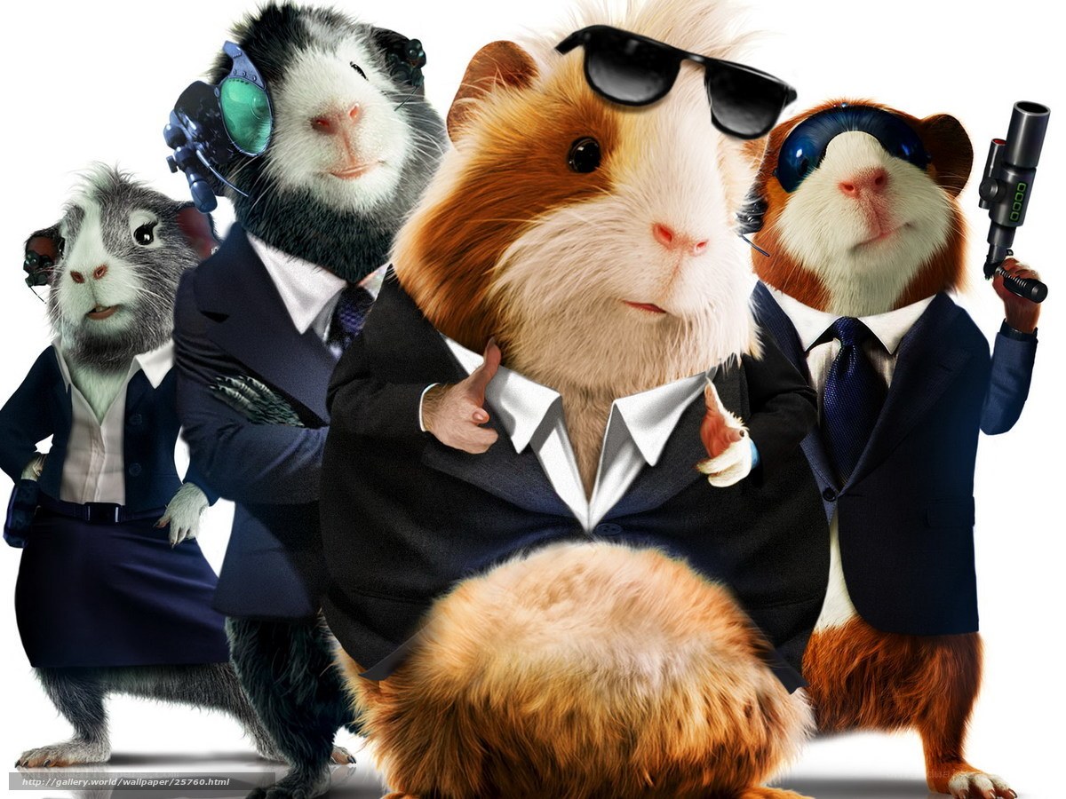 guinea pig spies in suits