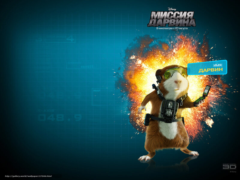 Guinea pig spy action