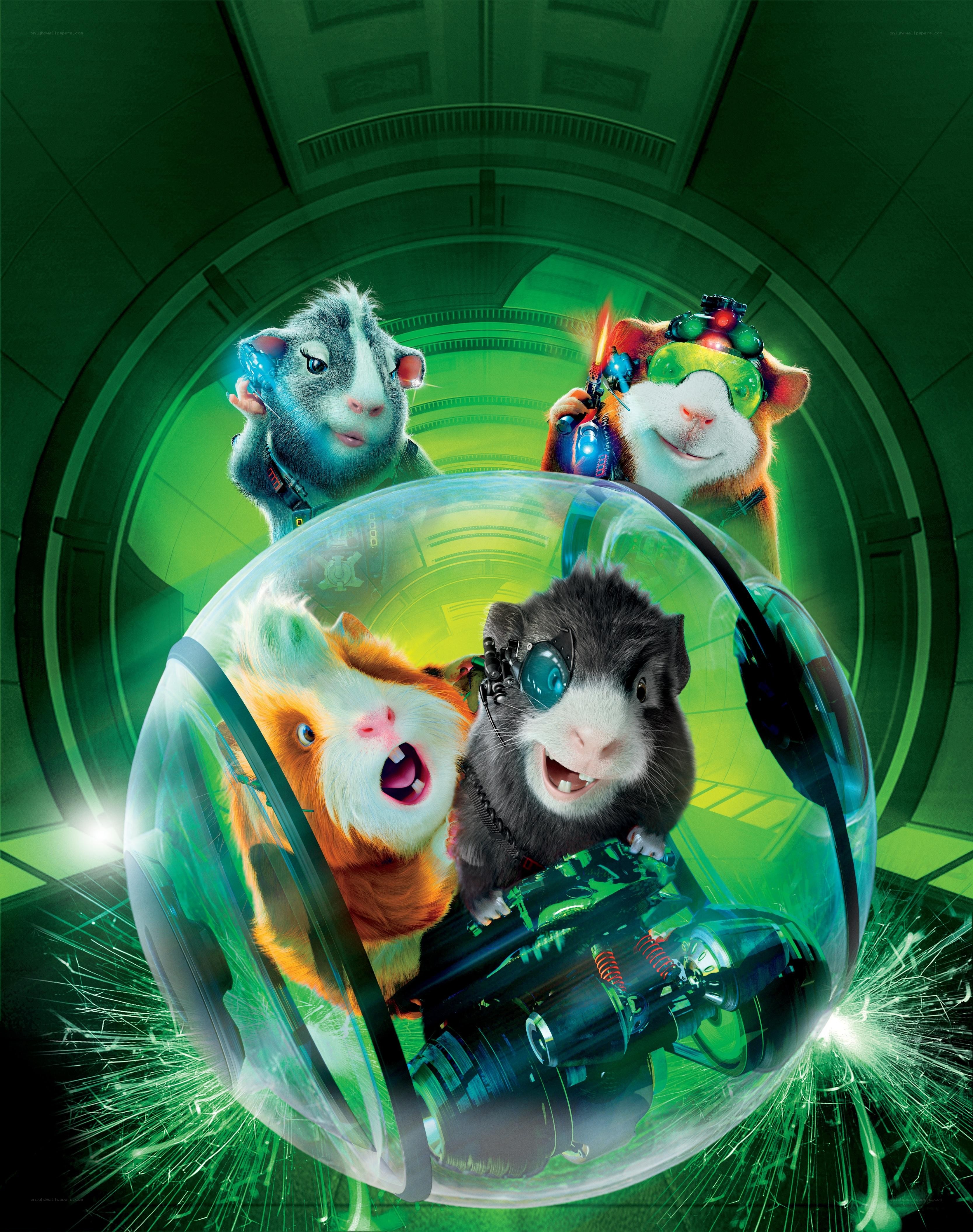 guinea pigs in a spaceship