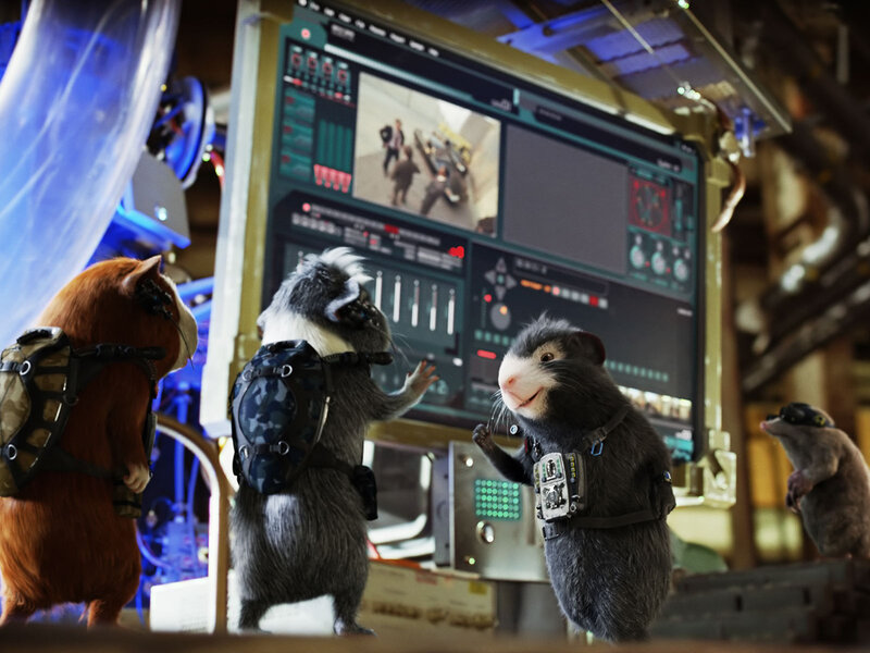 Guinea Pigs in Gear