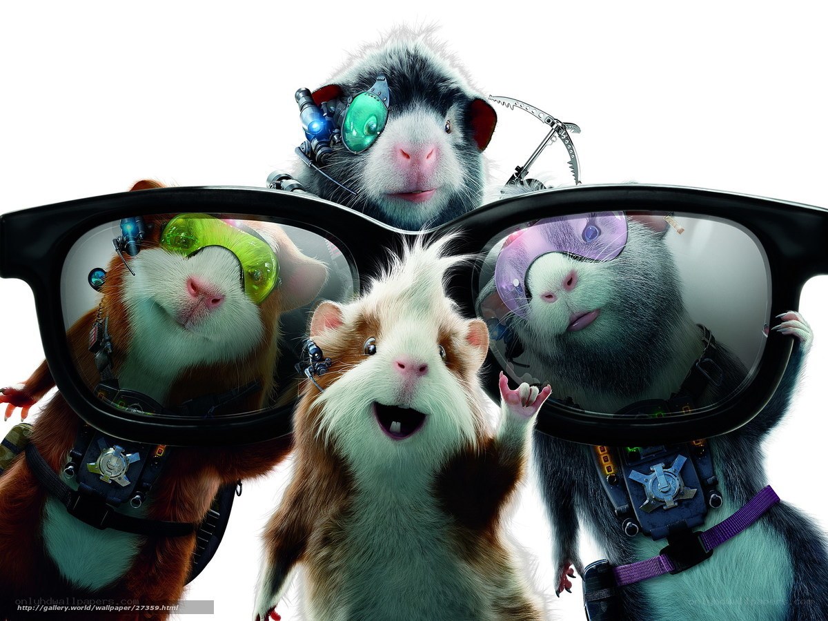 guinea pigs in goggles